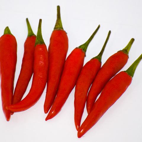 image vegetables_lr_0023-jpg