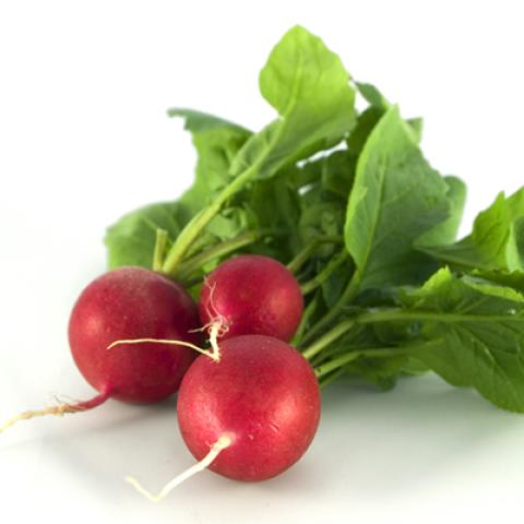 image vegetables_lr_0025-jpg