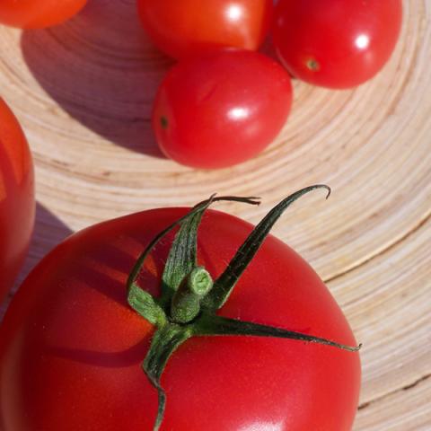 image vegetables_lr_0027-jpg