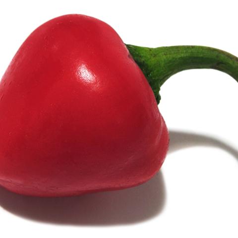 image vegetables_lr_0028-jpg