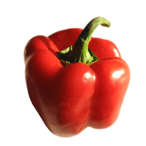 image vegetables_lr_0029-jpg