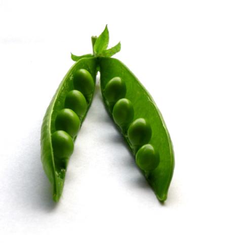 image vegetables_lr_0030-jpg