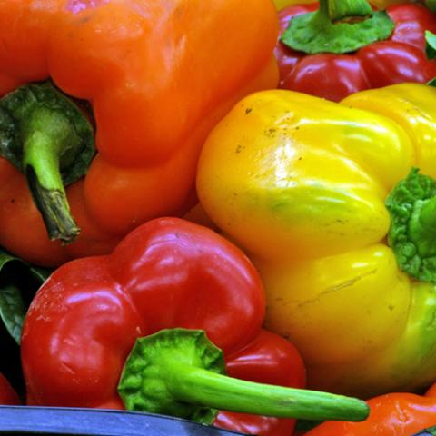 image vegetables_lr_0035-jpg
