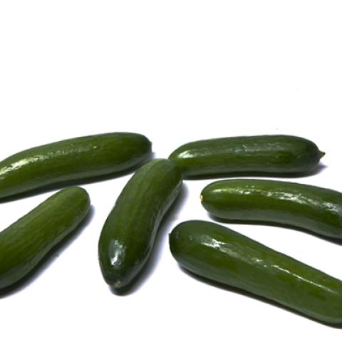 image vegetables_lr_0038-jpg
