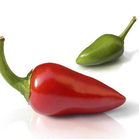 image vegetables_lr_0039-jpg