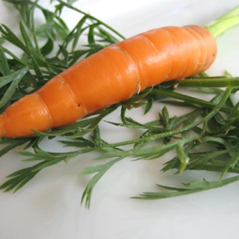 image vegetables_lr_0041-jpg