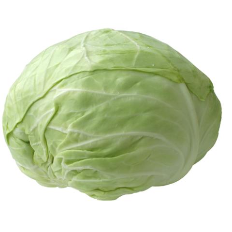 image vegetables_lr_0043-jpg
