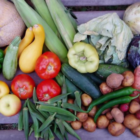 image vegetables_lr_0046-jpg
