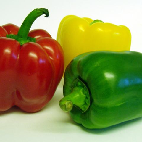 image vegetables_lr_0048-jpg