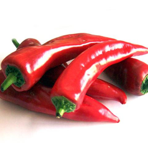 image vegetables_lr_0049-jpg