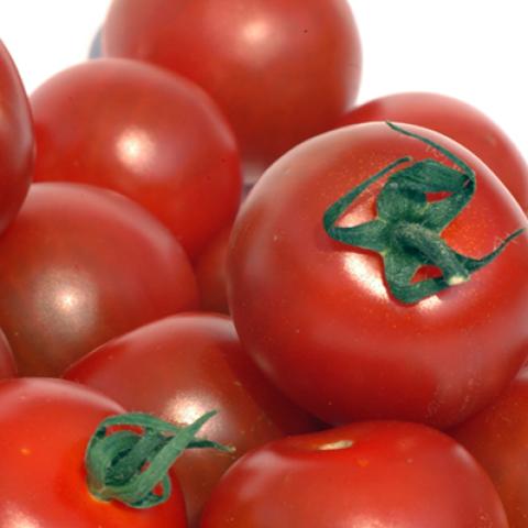 image vegetables_lr_0053-jpg