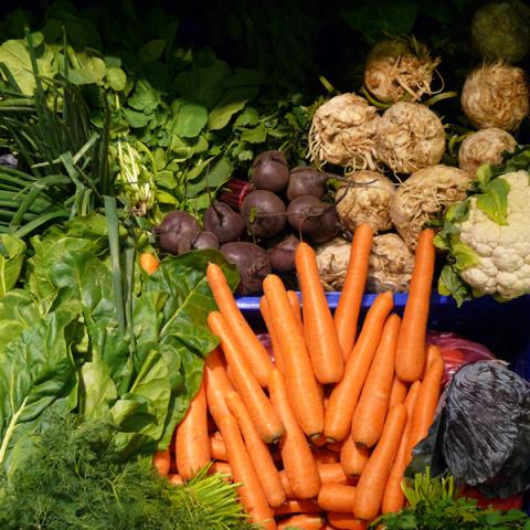 image vegetables_lr_0055-jpg