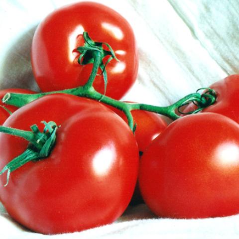 image vegetables_lr_0057-jpg