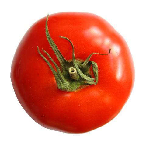 image vegetables_lr_0058-jpg
