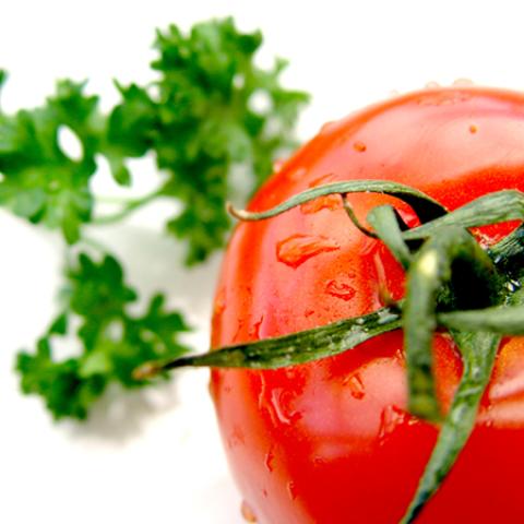 image vegetables_lr_0059-jpg