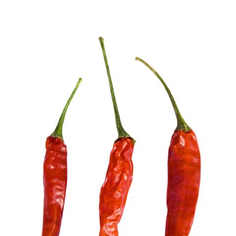 image vegetables_lr_0060-jpg