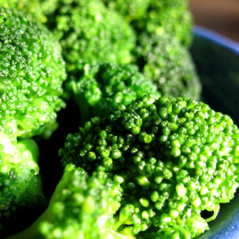 image vegetables_lr_0061-jpg