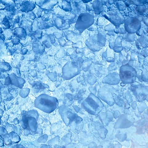 image ice_lr_0010-jpg