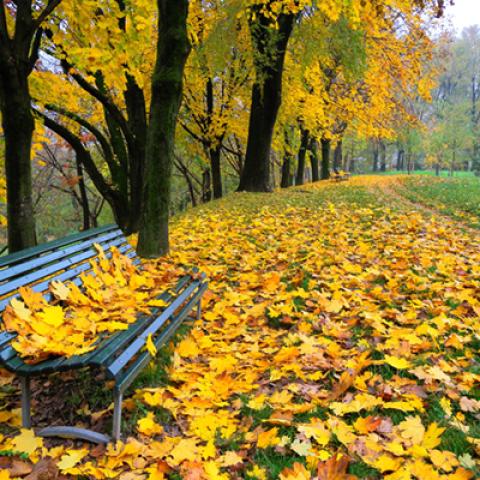 image bench_hr_0002-jpg