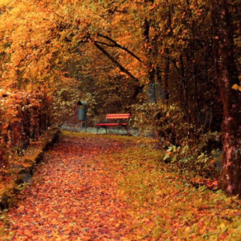 image bench_hr_0003-jpg
