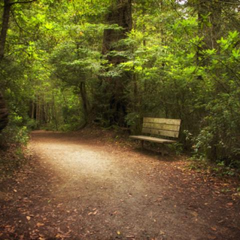image bench_hr_0004-jpg