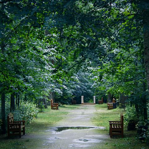 image bench_hr_0005-jpg