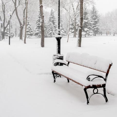 image bench_hr_0007-jpg