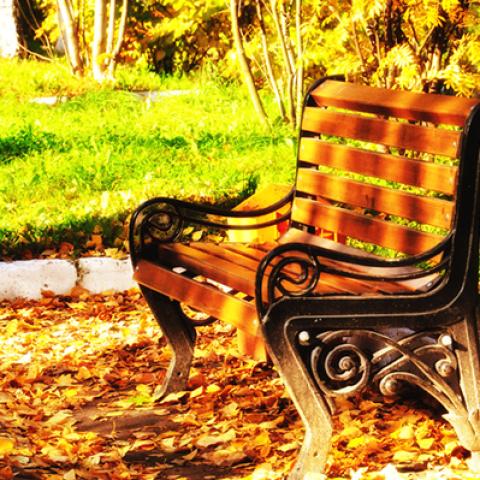 image bench_hr_0008-jpg
