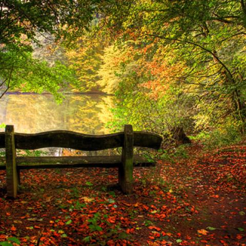 image bench_hr_0010-jpg