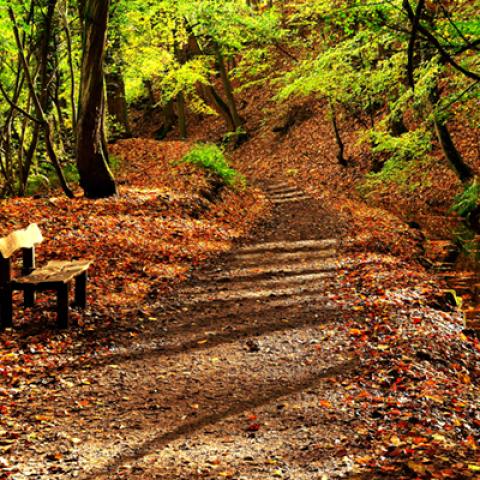 image bench_lr_0003-jpg