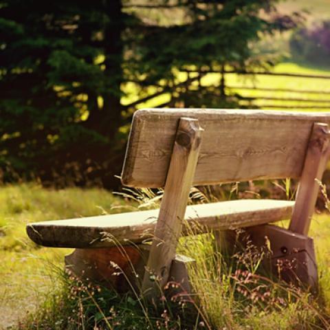 image bench_lr_0004-jpg