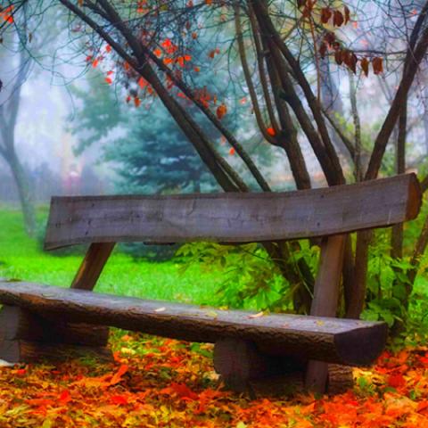 image bench_lr_0007-jpg