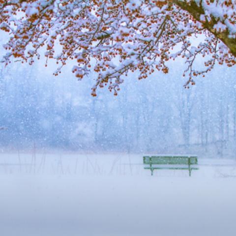 image bench_lr_0009-jpg