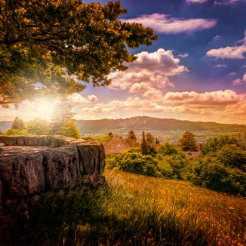 image bench_lr_0010-jpg
