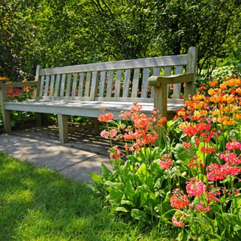 image bench_lr_0011-jpg