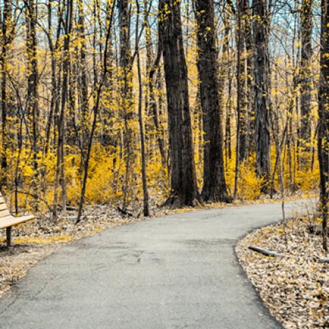 image bench_lr_0012-jpg
