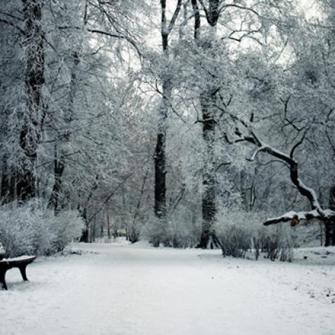 image bench_lr_0015-jpg