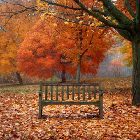 image bench_lr_0016-jpg