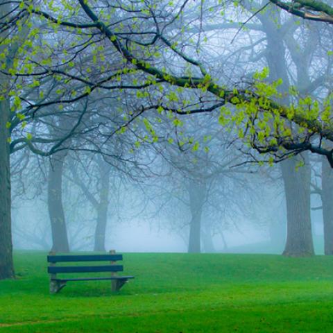 image bench_lr_0017-jpg