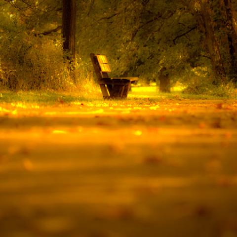 image bench_lr_0019-jpg