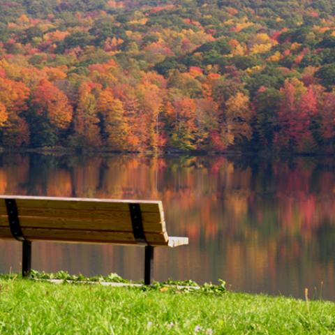 image bench_lr_0020-jpg