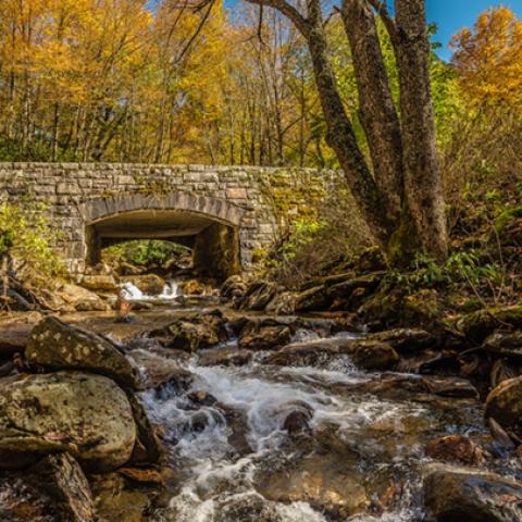 image bridge_hr_0001-jpg