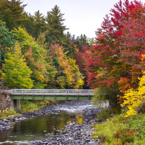 image bridge_hr_0002-jpg