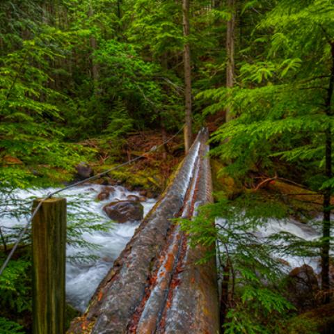 image bridge_hr_0003-jpg