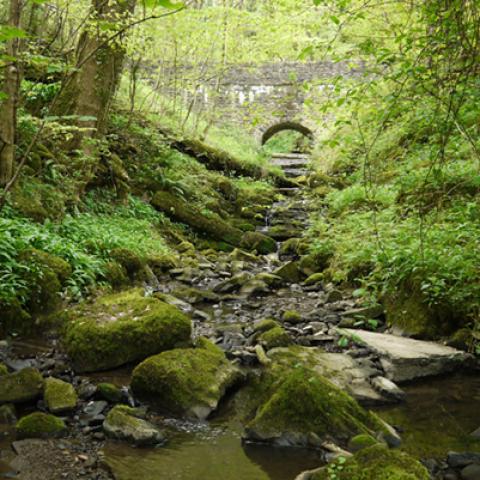 image bridge_hr_0004-jpg