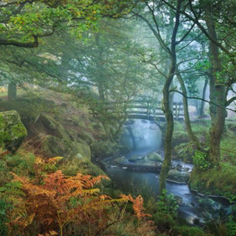 image bridge_hr_0005-jpg