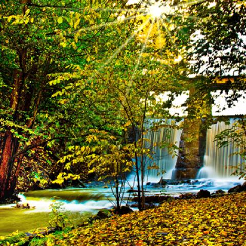 image bridge_hr_0006-jpg