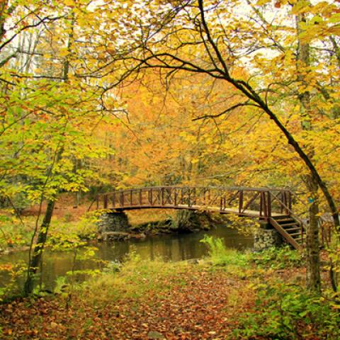 image bridge_hr_0007-jpg
