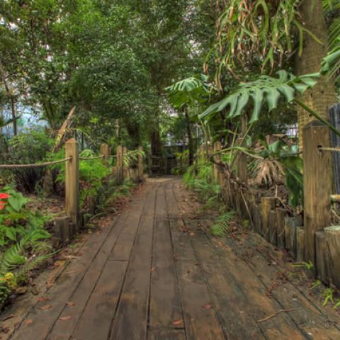 image bridge_hr_0010-jpg