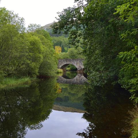 image bridge_hr_0011-jpg